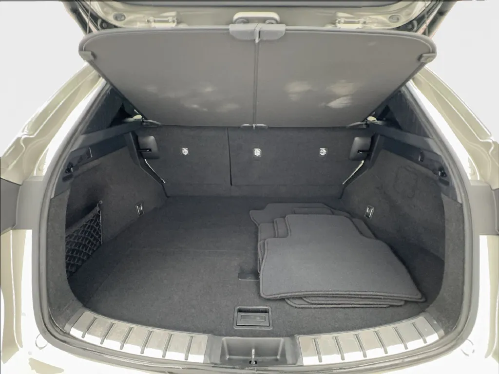 Lexus NX photo 18