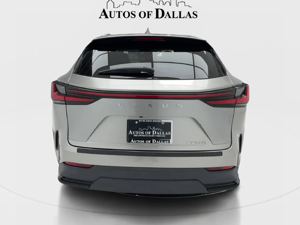 Lexus NX photo 10