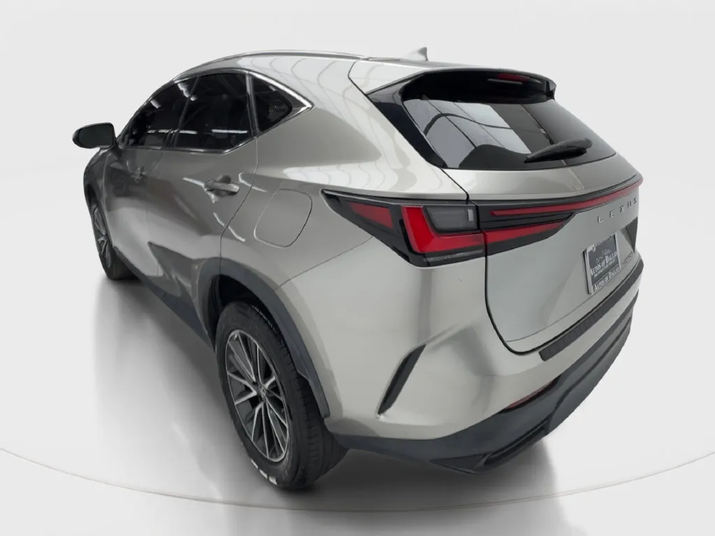 Lexus NX photo 11