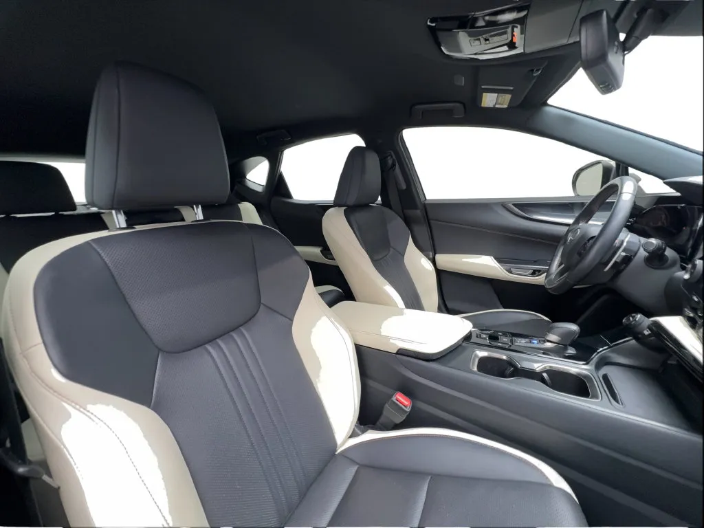Lexus NX photo 32
