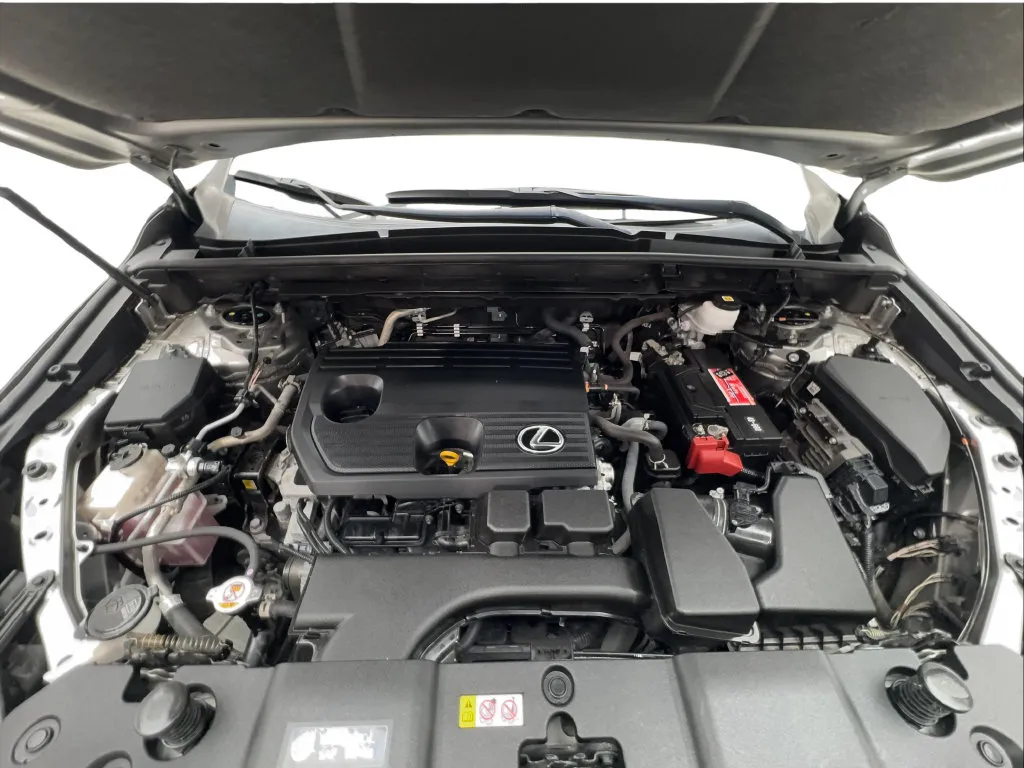 Lexus NX photo 19