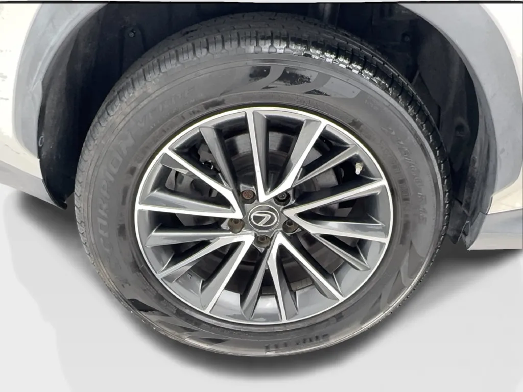 Lexus NX photo 16
