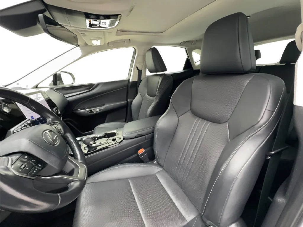 Lexus NX photo 21
