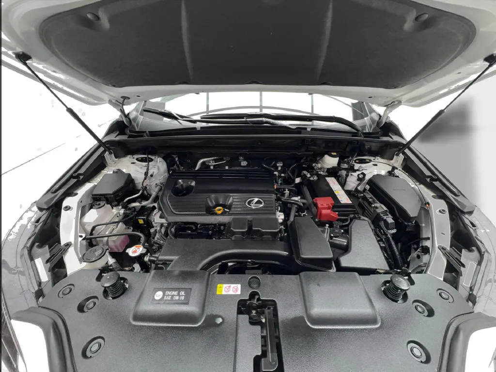 Lexus NX photo 15