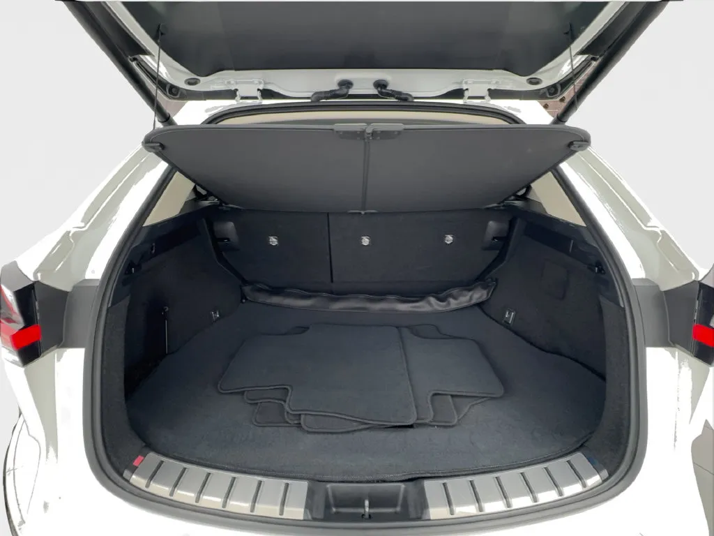 Lexus NX photo 14