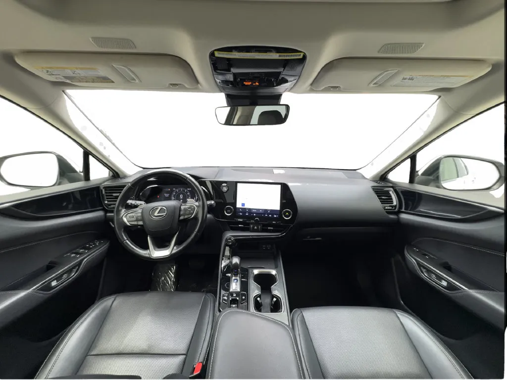 Lexus NX photo 41
