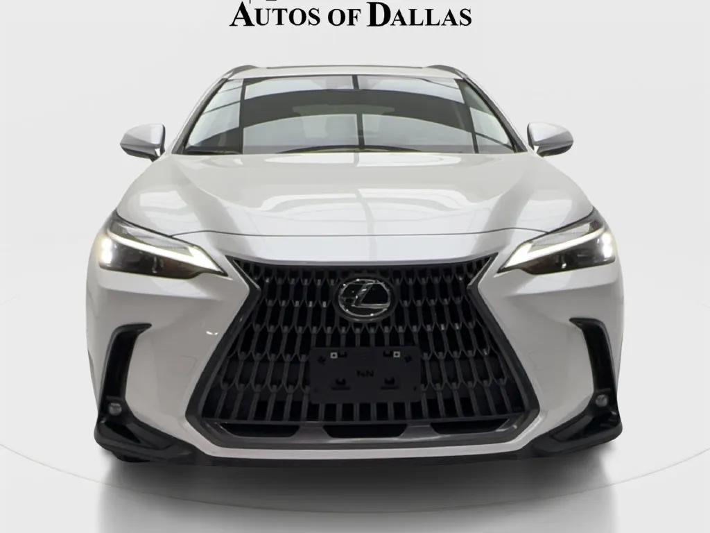 Lexus NX photo 4