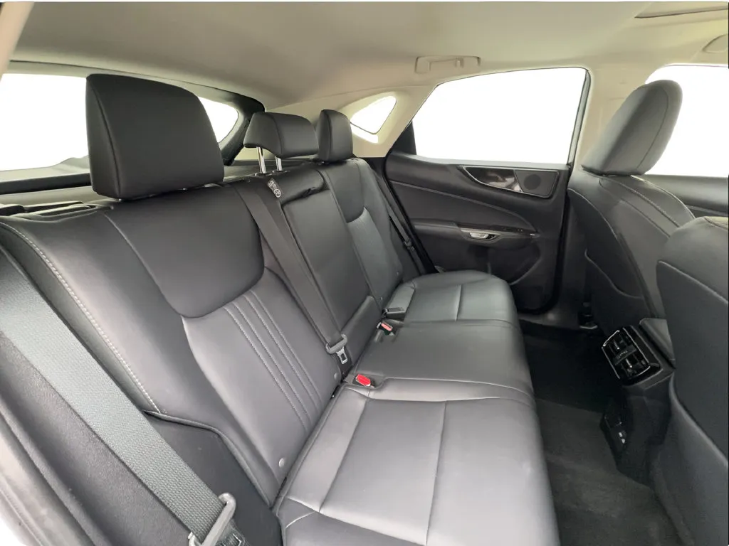 Lexus NX photo 30