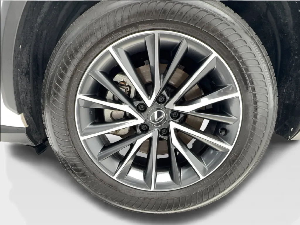Lexus NX photo 16