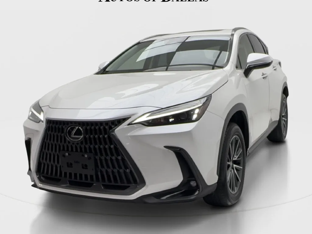 Lexus NX photo 5