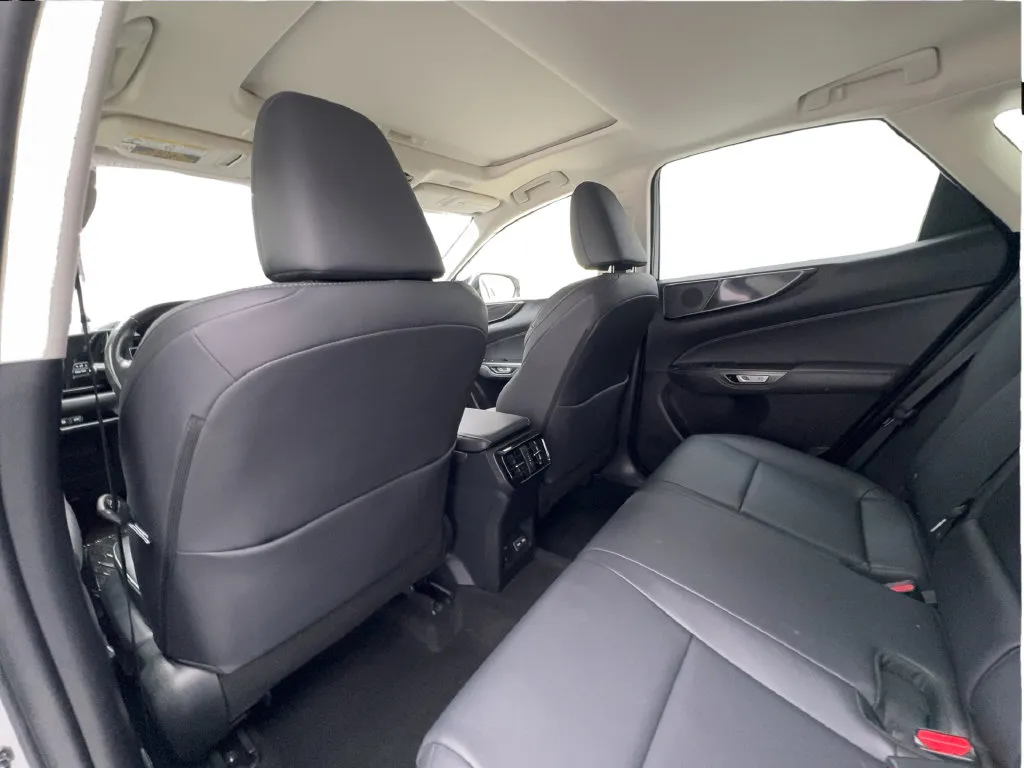 Lexus NX photo 28