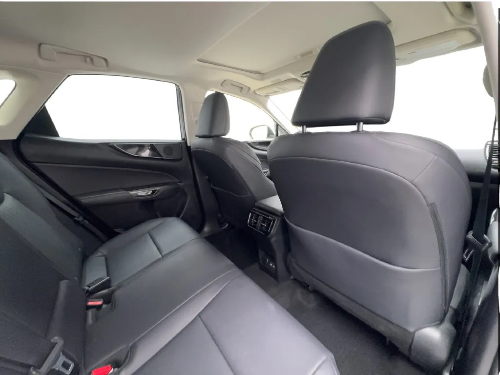 Lexus NX photo 32