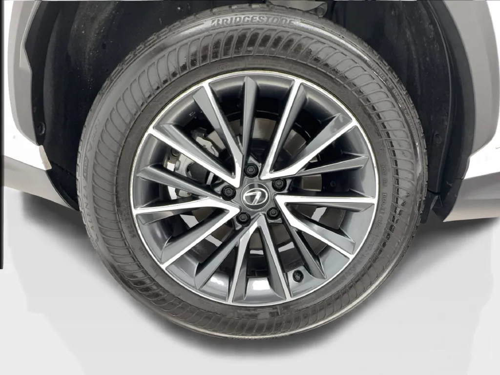 Lexus NX photo 19