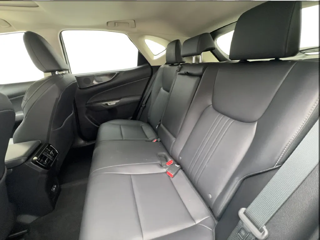Lexus NX photo 27