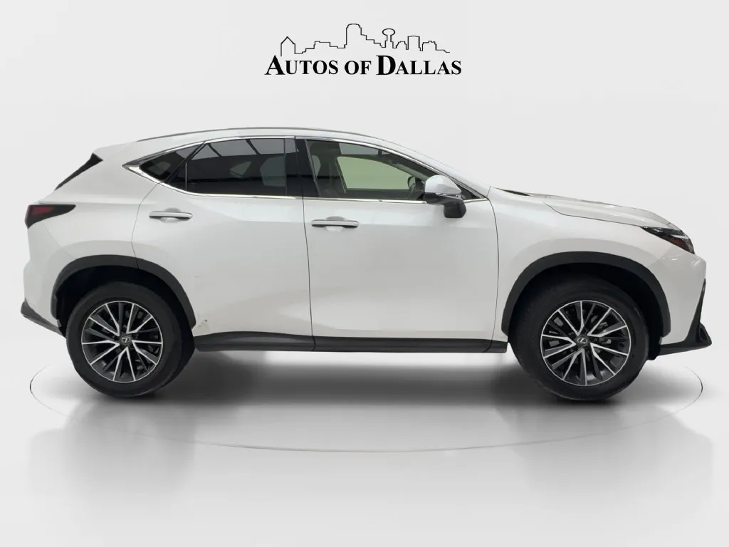Lexus NX photo 11