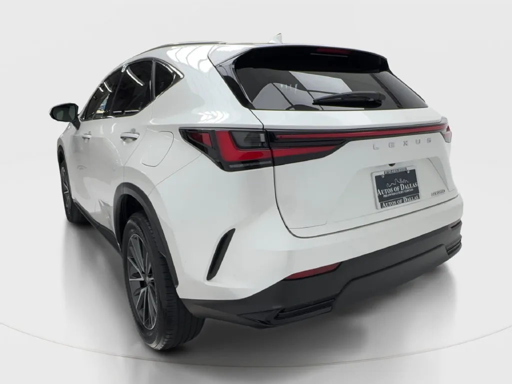 Lexus NX photo 6