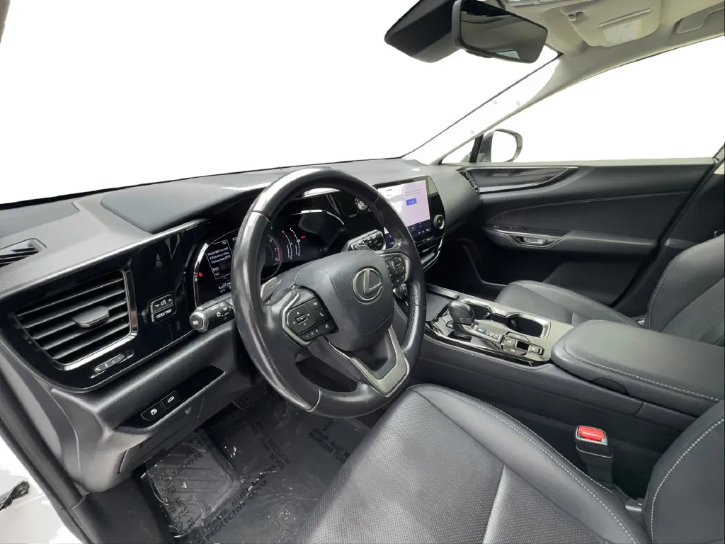 Lexus NX photo 23