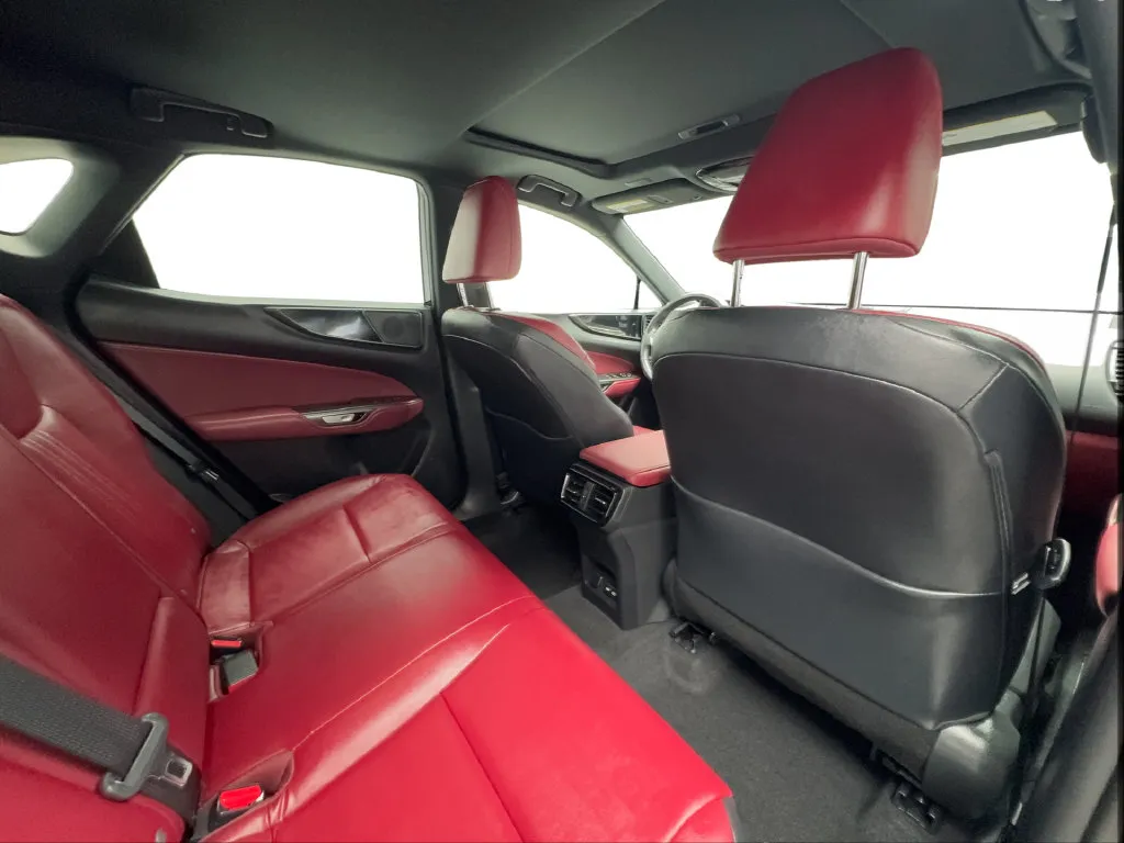Lexus NX photo 30