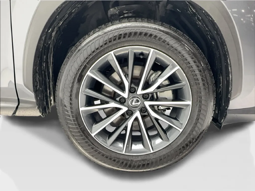 Lexus NX photo 19