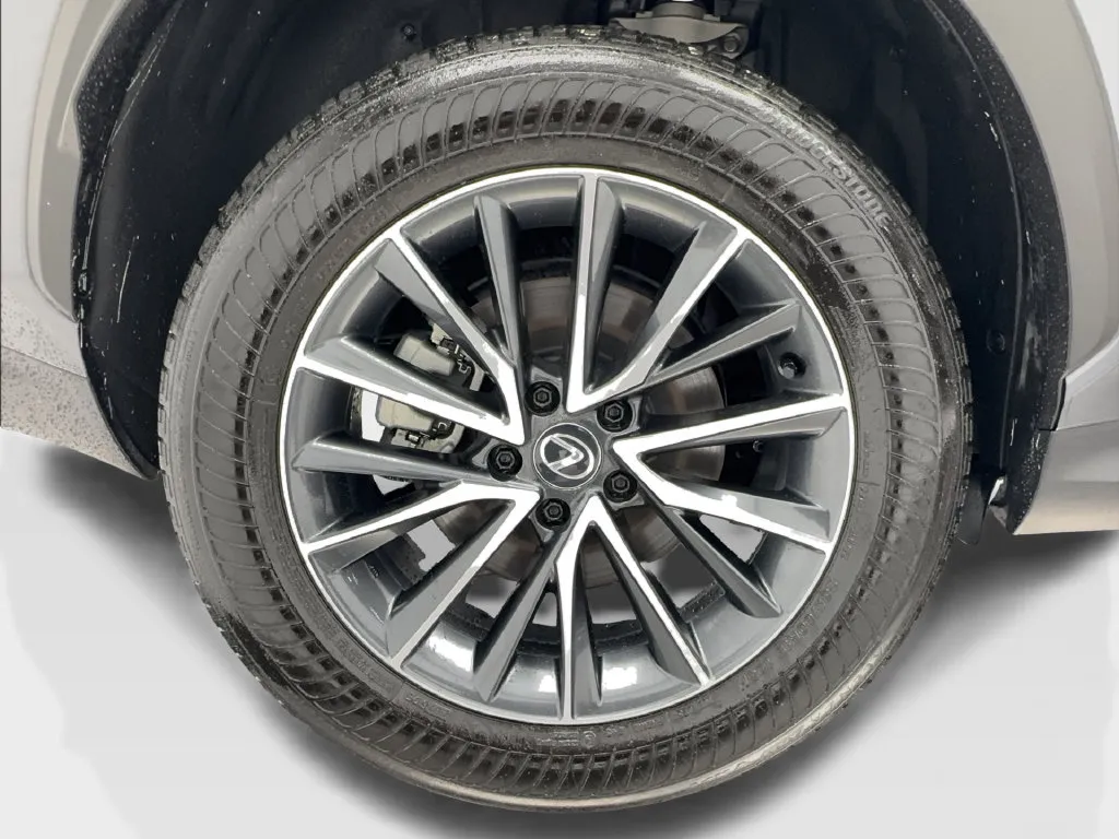 Lexus NX photo 18
