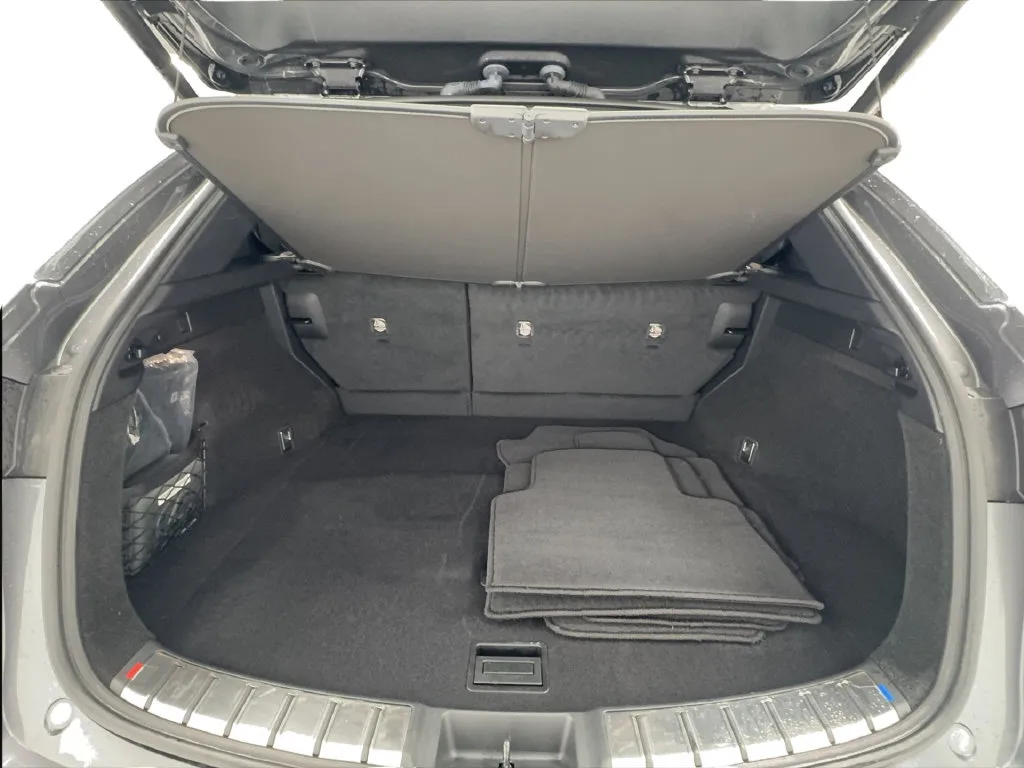 Lexus NX photo 12
