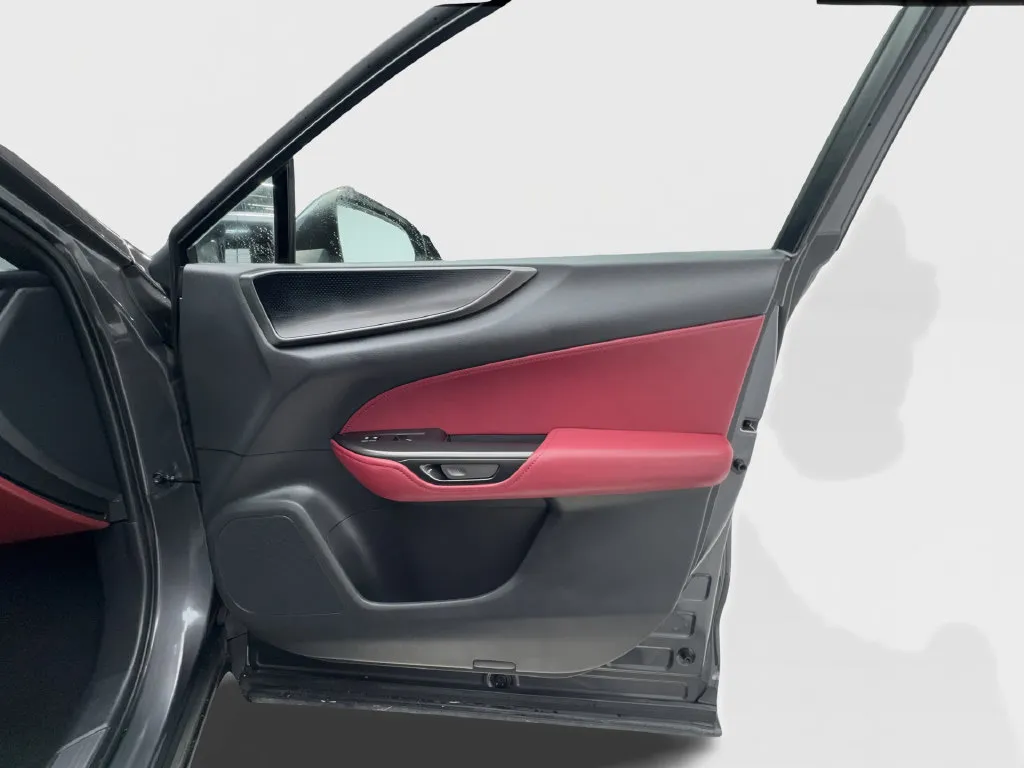 Lexus NX photo 36