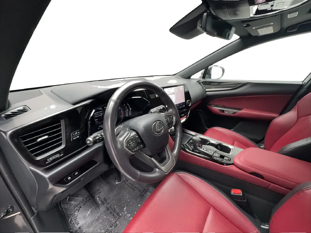 Lexus NX photo 22