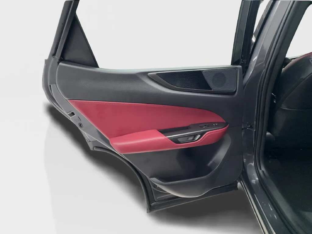 Lexus NX photo 28