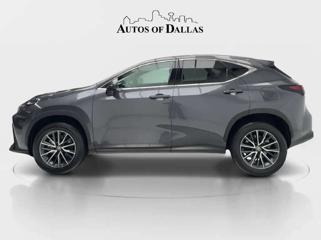 Lexus NX photo 10