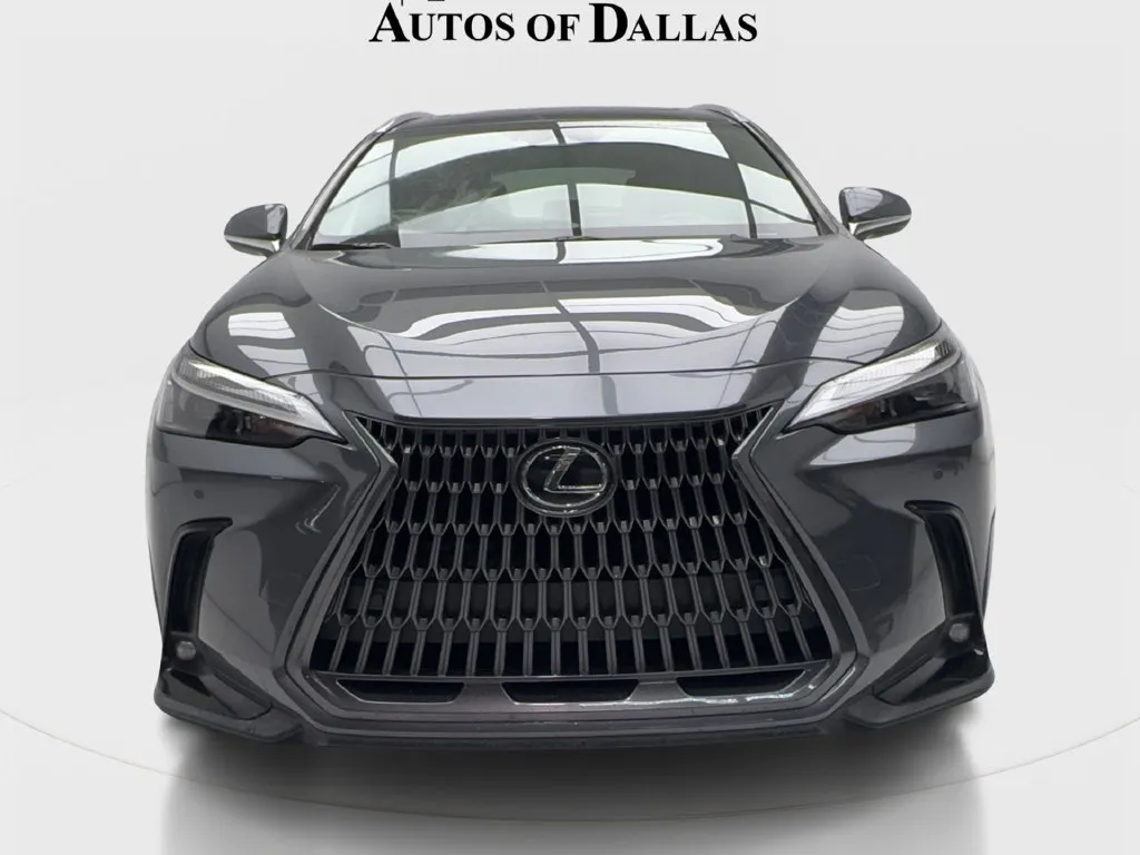 Lexus NX photo 4