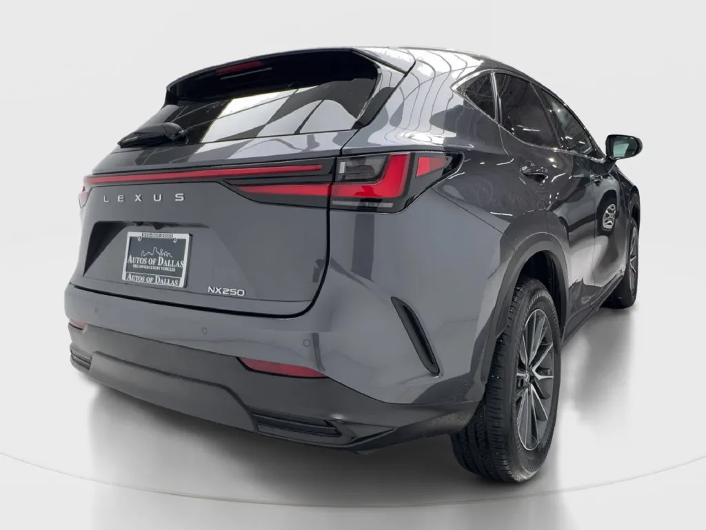 Lexus NX photo 8