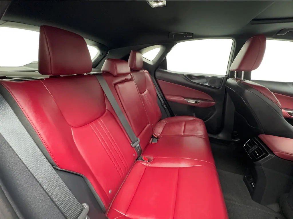 Lexus NX photo 29