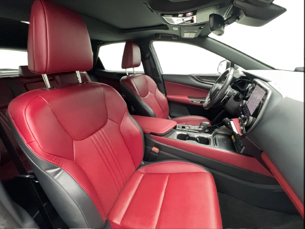 Lexus NX photo 33