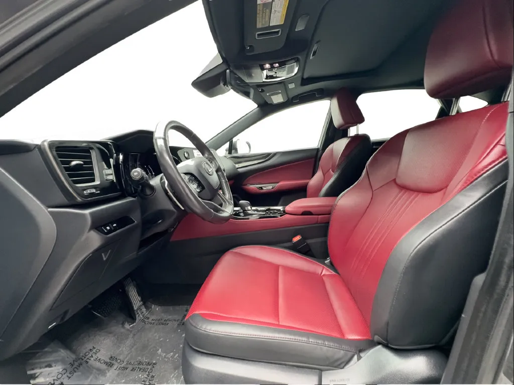 Lexus NX photo 21