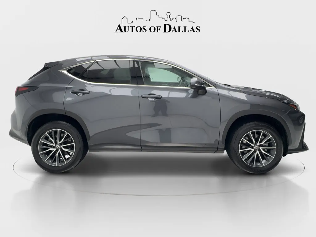 Lexus NX photo 11