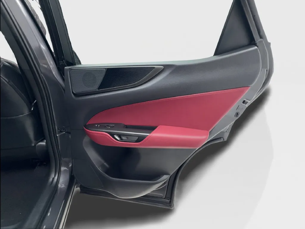 Lexus NX photo 32