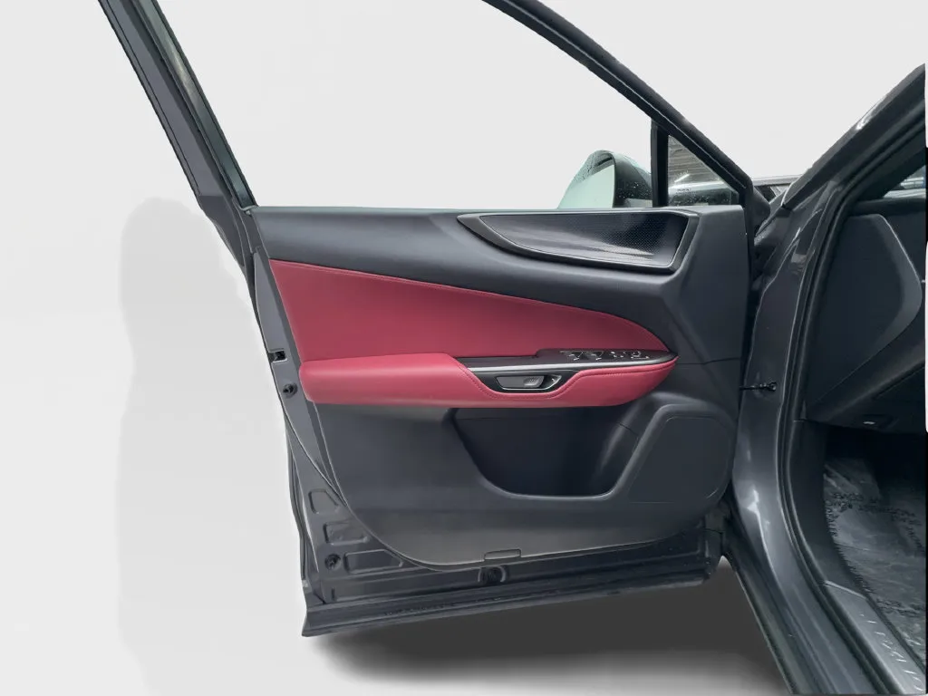 Lexus NX photo 25