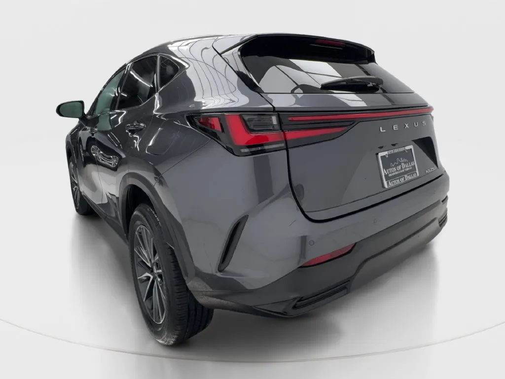 Lexus NX photo 6