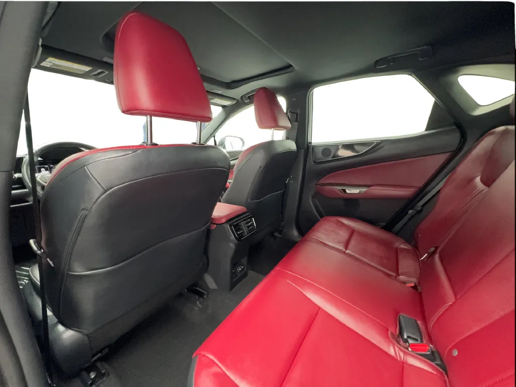 Lexus NX photo 27
