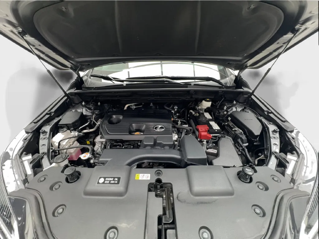 Lexus NX photo 14