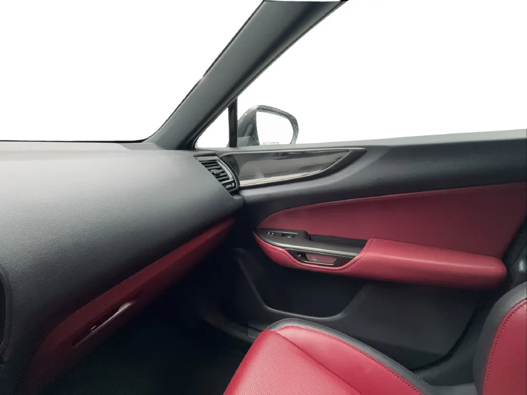 Lexus NX photo 44