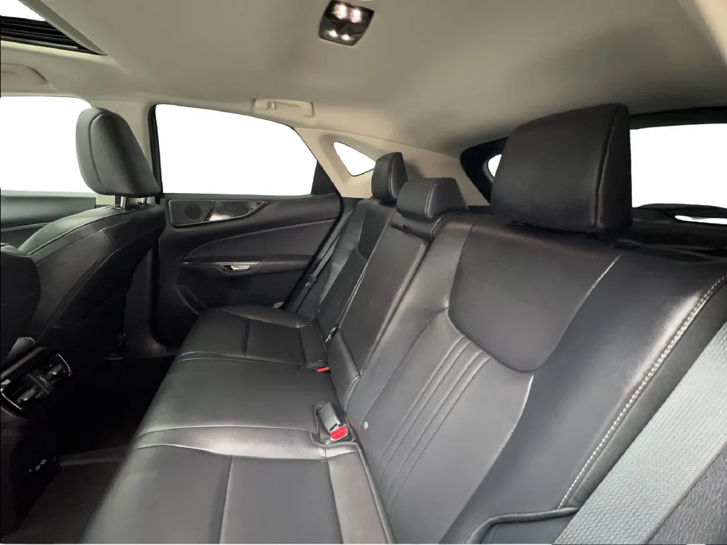 Lexus NX photo 28