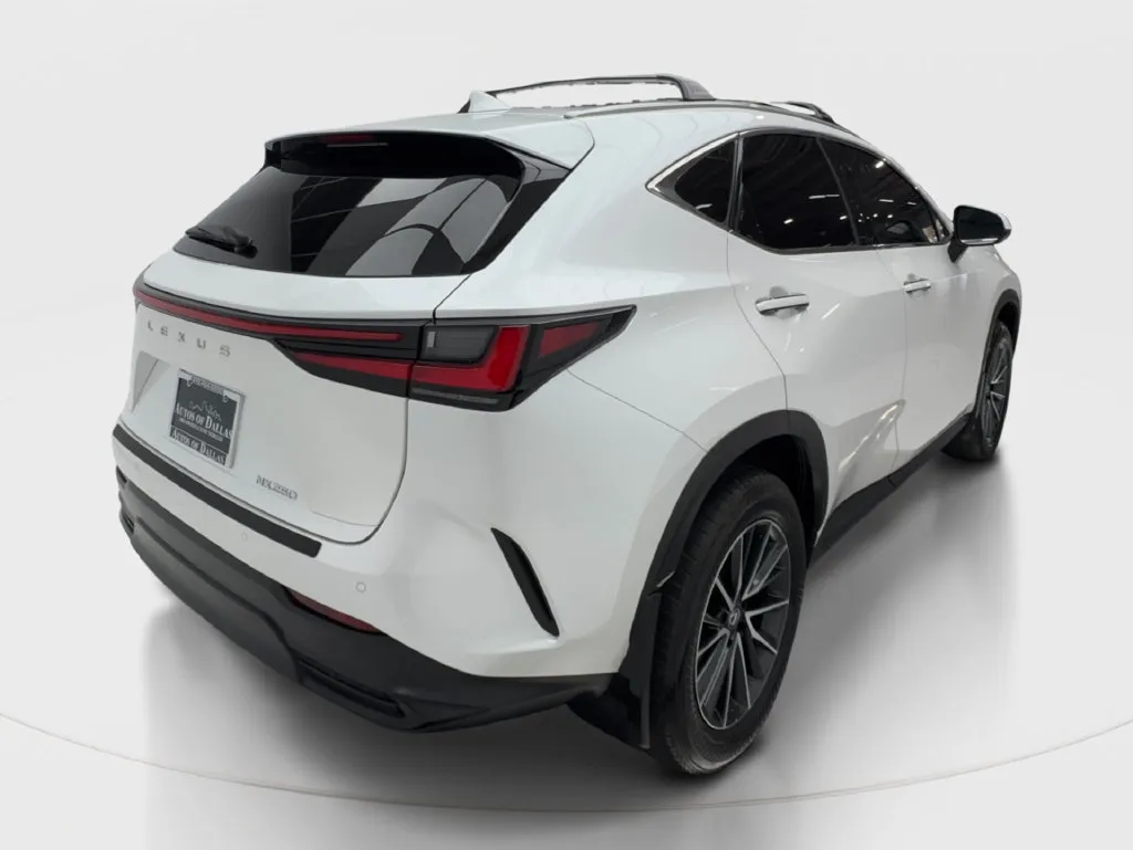Lexus NX photo 8