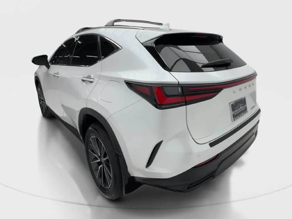 Lexus NX photo 11