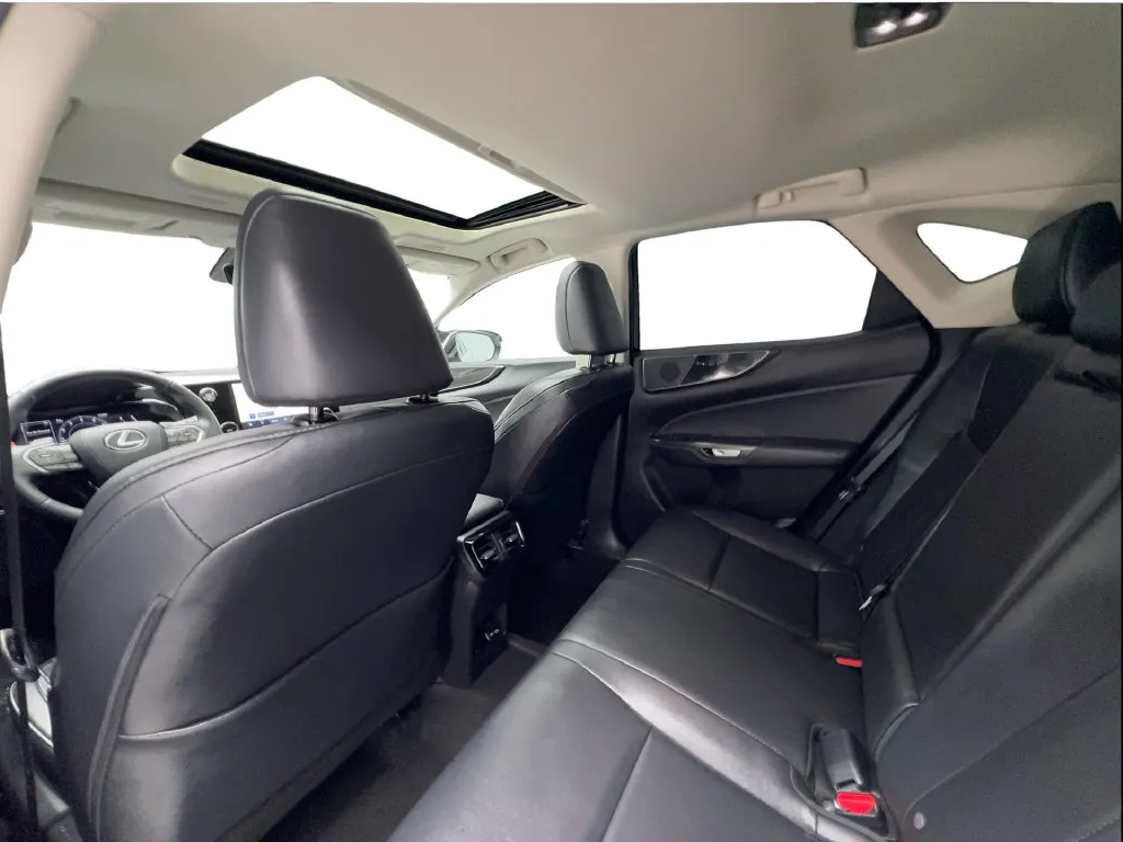 Lexus NX photo 27