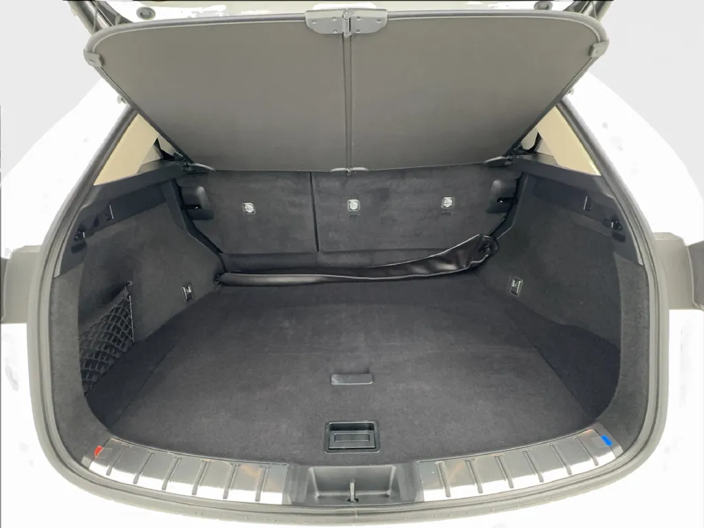 Lexus NX photo 19