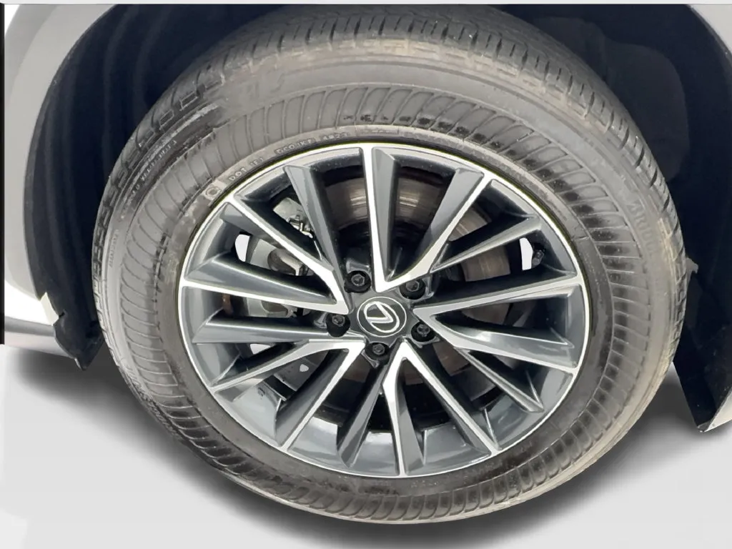 Lexus NX photo 15