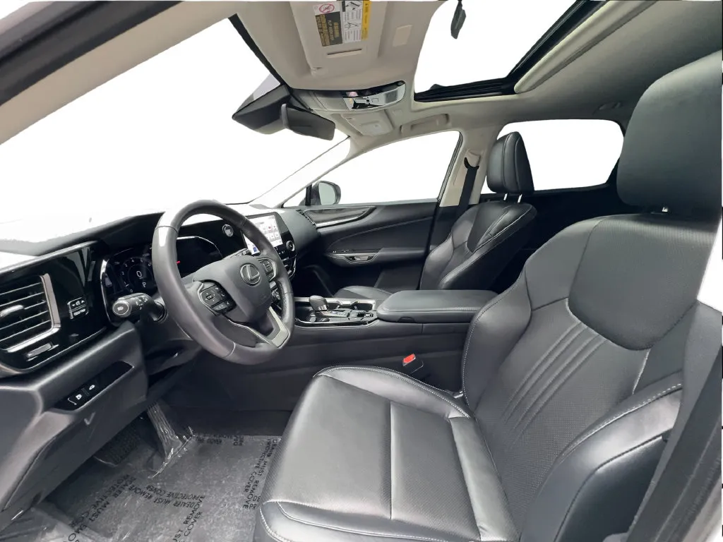 Lexus NX photo 22