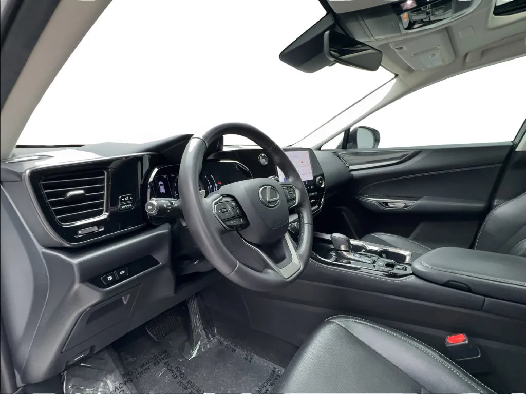 Lexus NX photo 23