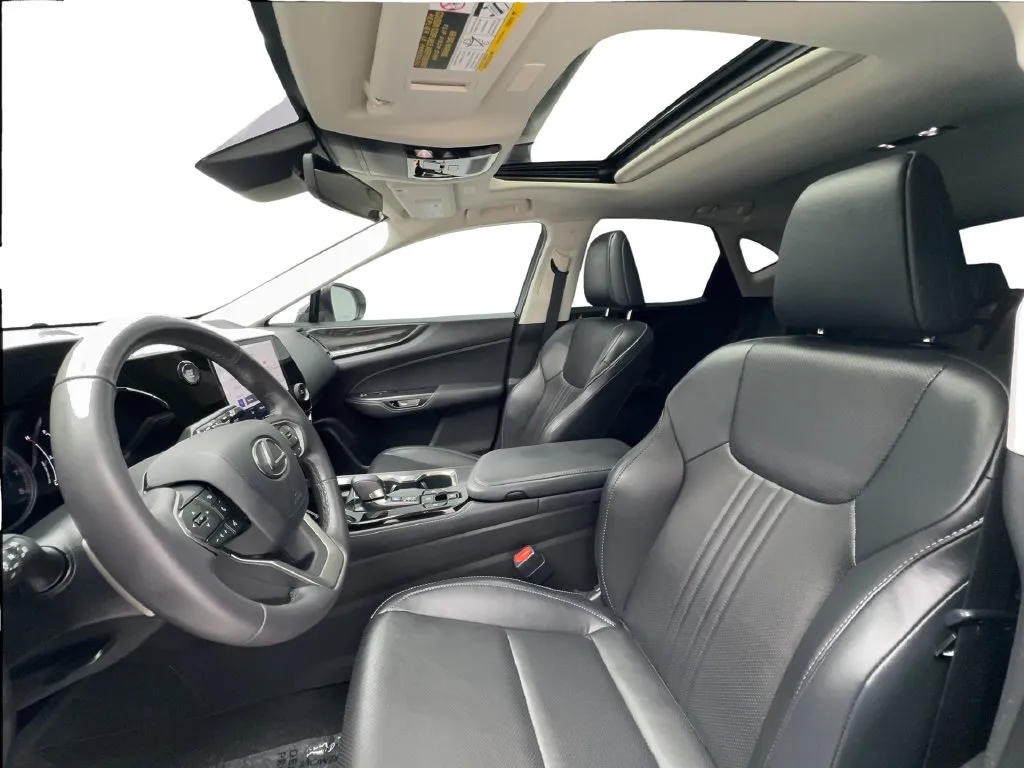 Lexus NX photo 21